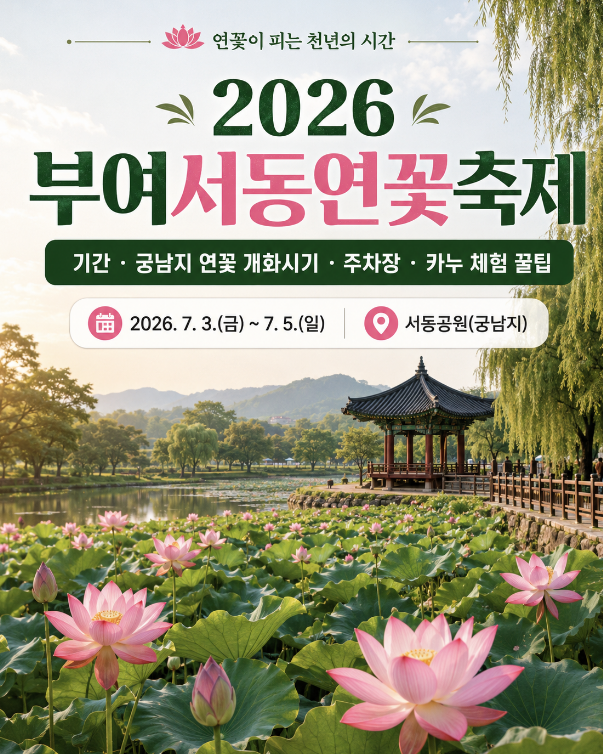 부여 서동연꽃 축제 국납자 연꽃 개화 시기 마쳐서 놀로오기